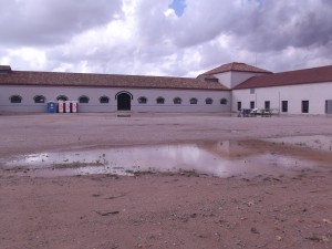 Bassals d'aigua a la Granja de la Ricarda